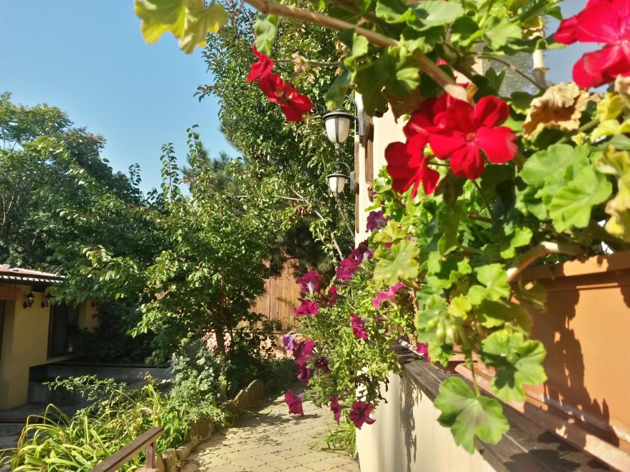 בוקרשט Casa Mica Guesthouse מראה חיצוני תמונה