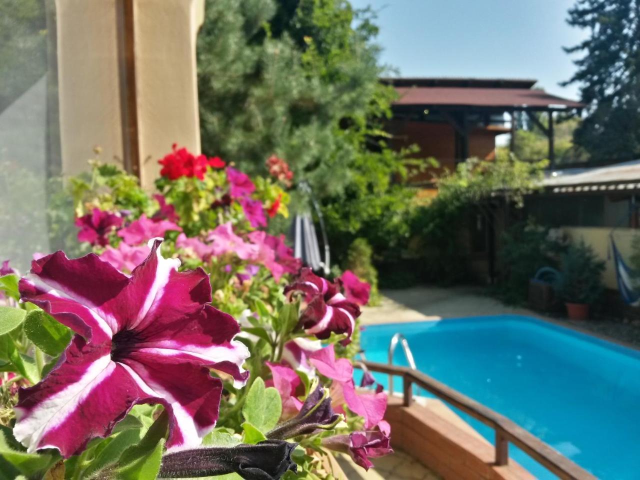 בוקרשט Casa Mica Guesthouse מראה חיצוני תמונה