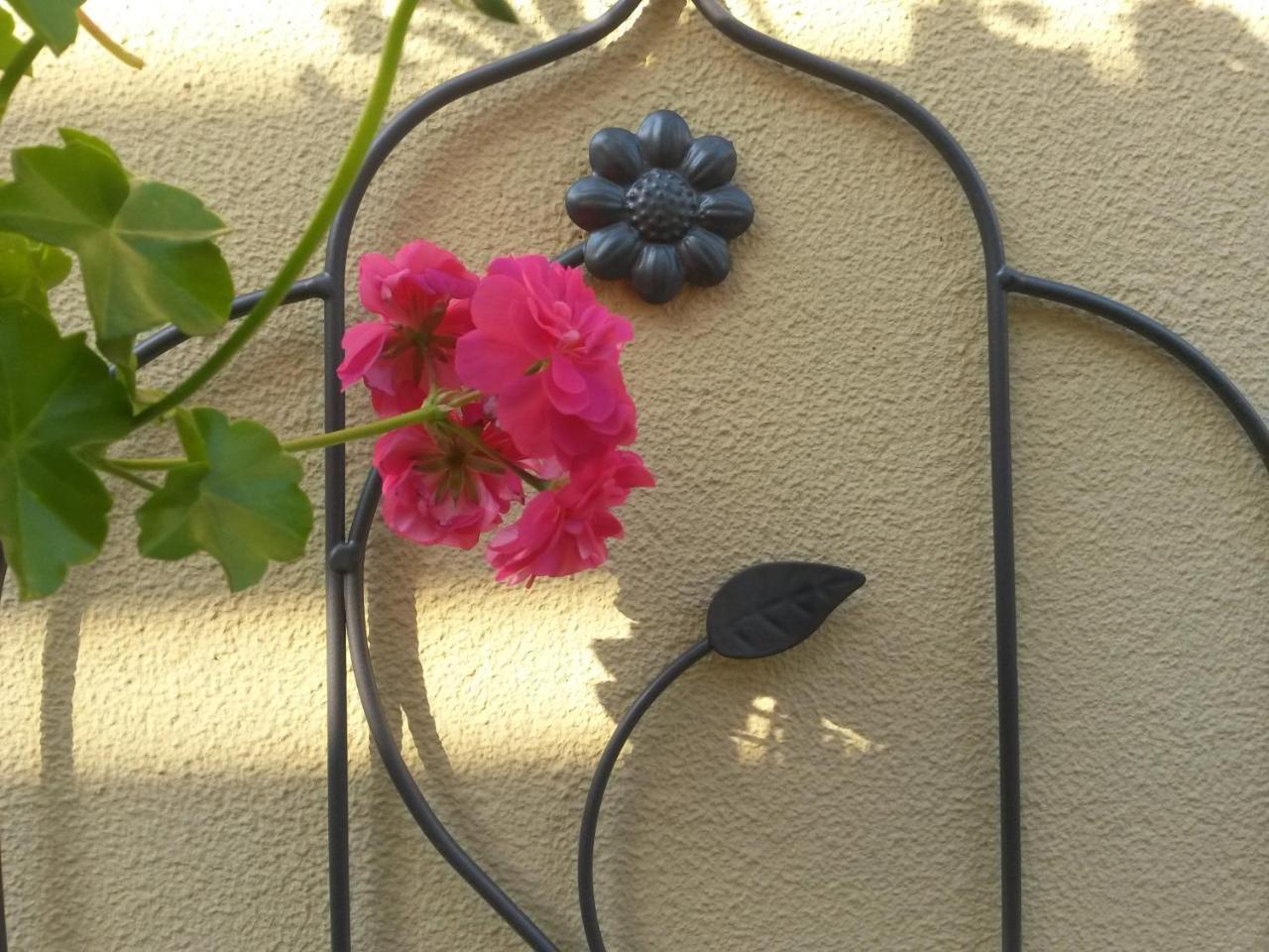 בוקרשט Casa Mica Guesthouse מראה חיצוני תמונה