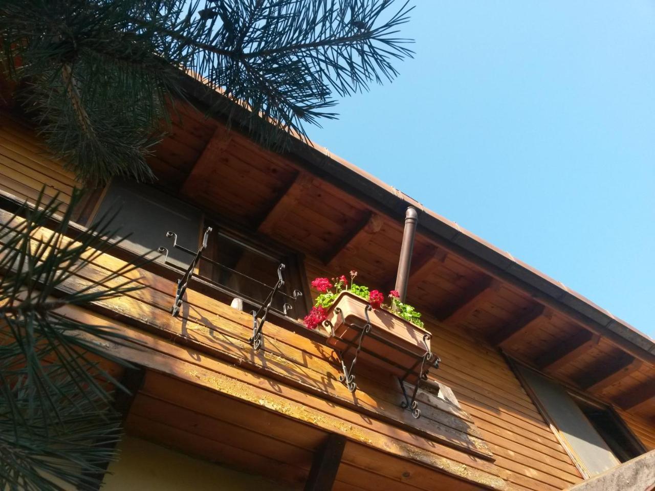 בוקרשט Casa Mica Guesthouse מראה חיצוני תמונה