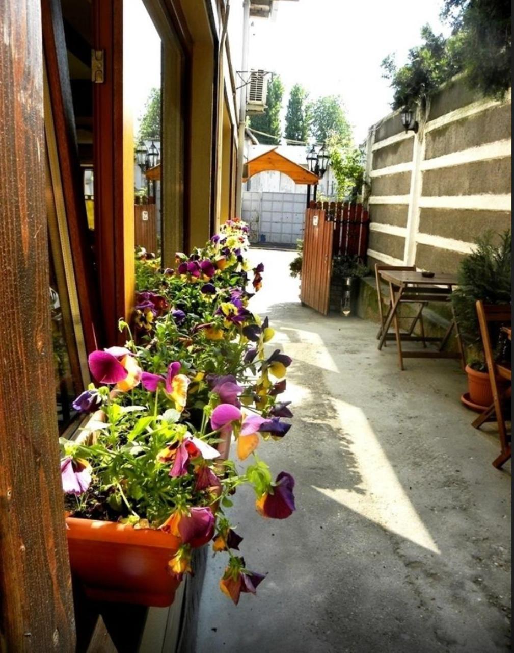 בוקרשט Casa Mica Guesthouse מראה חיצוני תמונה